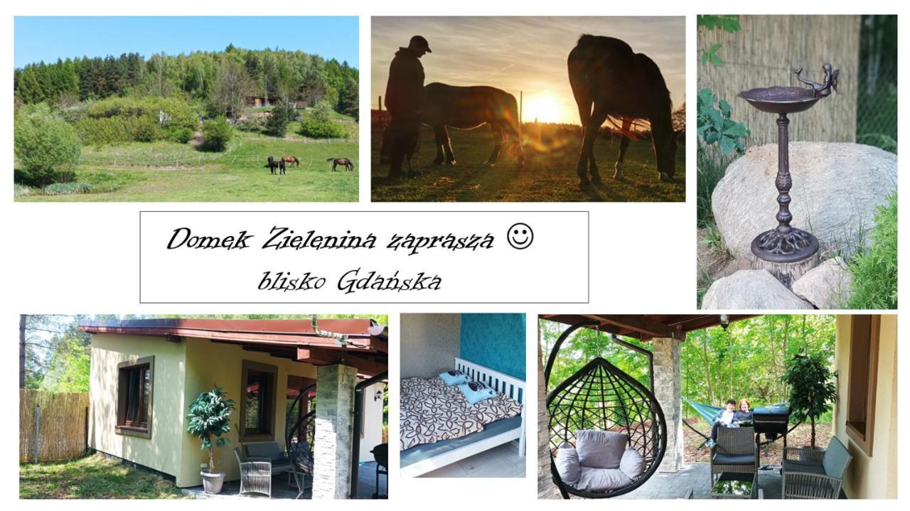 Domek Zielenina Mierzeszyn Ngoại thất bức ảnh